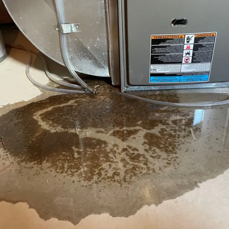 Pipe Burst and Leak Restoration in Yates County, NY