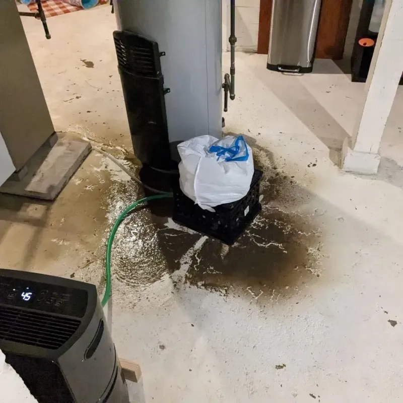 Sewage Backup Cleanup Service in Yates County, NY